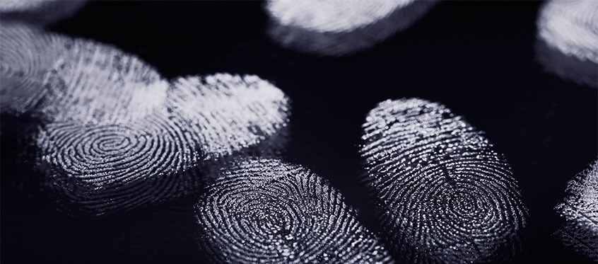 GDPR Data Breaches Compliance Insights