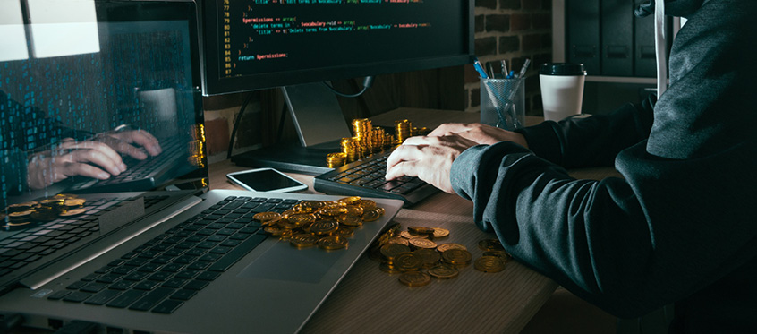 Developer Analyzing Supply Chain Security Risks