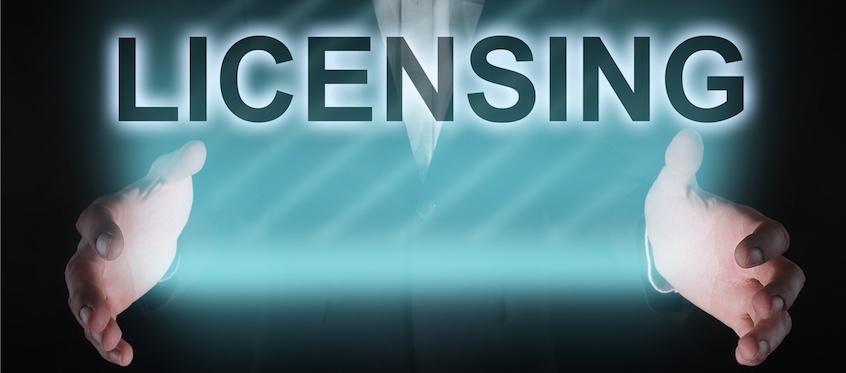 Software Licensing Models and Dual Options