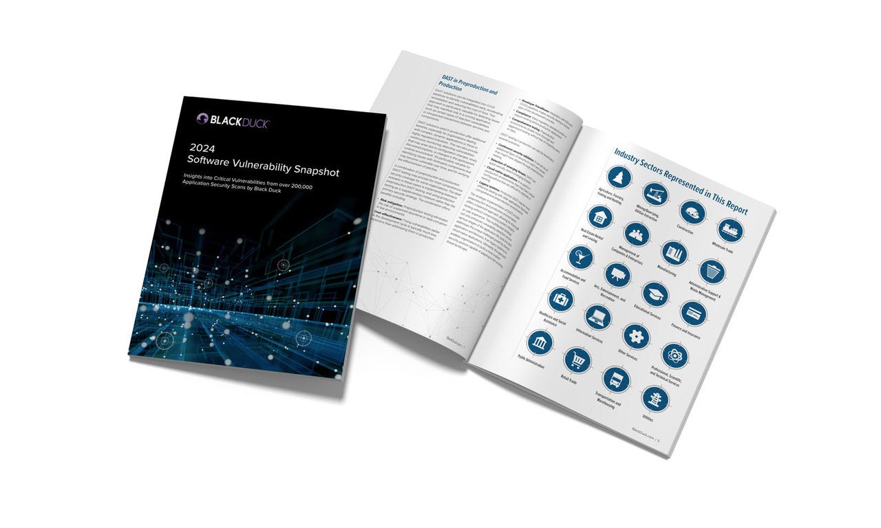 Software Vulnerability Snapshot Report cover