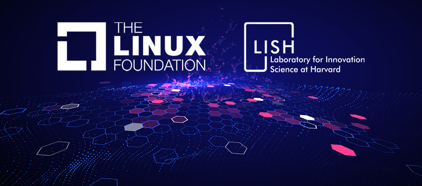 Linux Foundation Vulnerabilities Report Thumbnail
