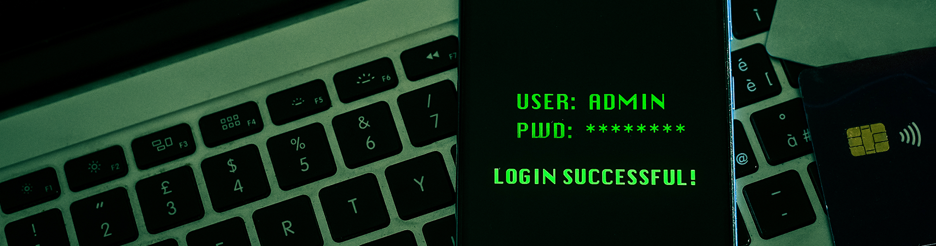 Cross-Site Scripting Vulnerability Advisory Image