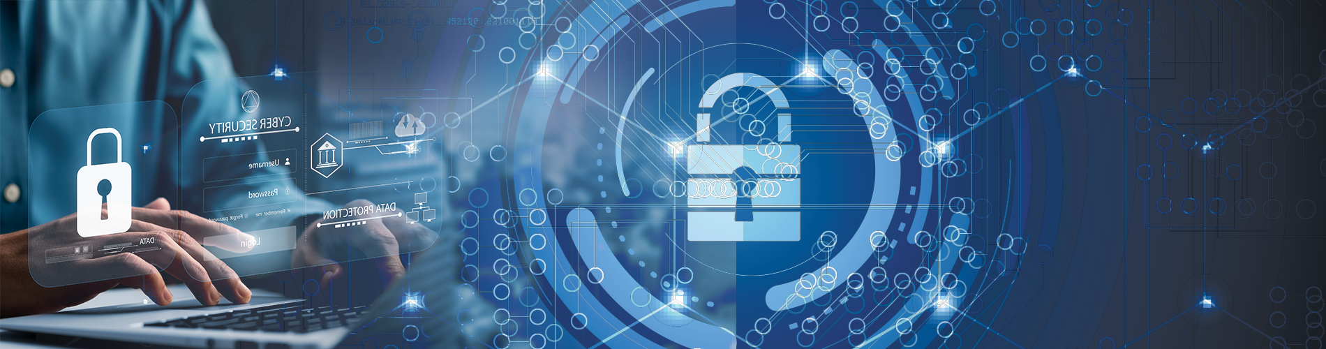 Federal Government Cybersecurity Risk Management