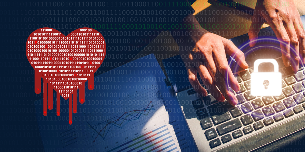 Heartbleed Vulnerability Cybersecurity Analysis